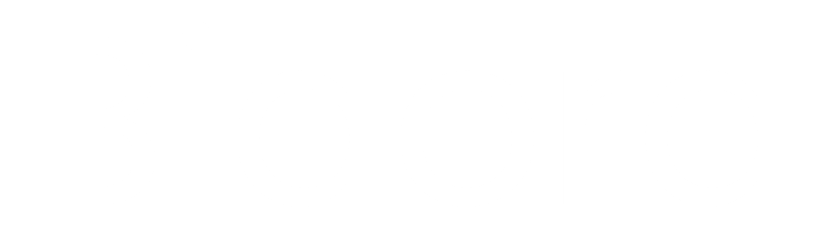 Bidora